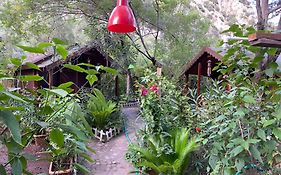 Canario Bungalows